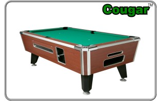 Cougar